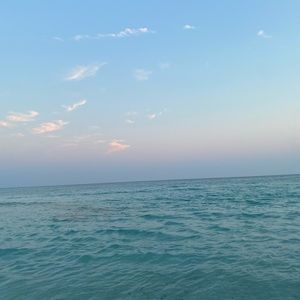 Meet your Posher, Claire